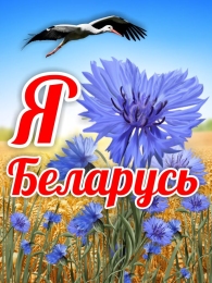 Купить Баннер Я люблю Беларусь в Беларуси от 25.00 BYN