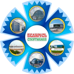 Купить Фигурный стенд василёк Беларусь спортивная 500х500 мм в Беларуси от 49.00 BYN