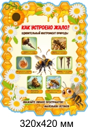 Купить Стенд Как устроено жало? 320х420 мм в Беларуси от 26.00 BYN Купить Стенд Как устроено жало? 320х420 мм в Беларуси от 26.00 BYN