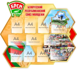 Купить Стенд ОО БРСМ 1480х1300 мм в Беларуси от 406.90 BYN