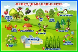 Купить Стенд Природный навигатор в зелёно-голубых тонах 600*400 мм в Беларуси от 42.00 BYN Купить Стенд Природный навигатор в зелёно-голубых тонах 600*400 мм в Беларуси от 42.00 BYN
