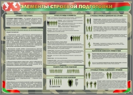 Купить Стенд Элементы строевой подготовки 1400*1000 мм в Беларуси от 242.00 BYN