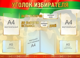 Купить Стенд Уголок избирателя в золотистых тонах 1100*800 мм в Беларуси от 202.40 BYN