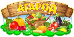Купить Табличка Агарод в детский сад 600*300 мм в Беларуси от 35.00 BYN Купить Табличка Агарод в детский сад 600*300 мм в Беларуси от 35.00 BYN