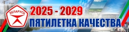 Купить Баннер 12 2025-2029 Пятилетка качества в Беларуси от 25.00 BYN