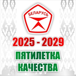 Купить Баннер 4 2025-2029 Пятилетка качества в Беларуси от 25.00 BYN