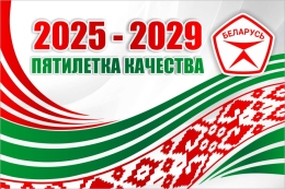 Купить Баннер 8 2025-2029 Пятилетка качества в Беларуси от 25.00 BYN