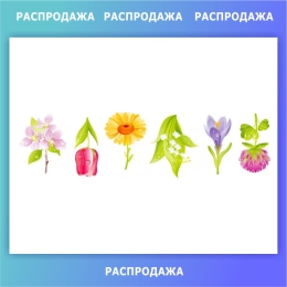 Купить Комплект наклеек Весенние цветы 6 шт 550*150 мм СКИДКА в Беларуси от 5.20 BYN