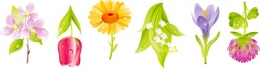 Купить Комплект наклеек Весенние цветы 6 шт 550*150 мм в Беларуси от 5.00 BYN