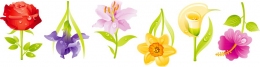 Купить Комплект наклеек Весенние цветы 6 шт 632*175 мм в Беларуси от 8.00 BYN
