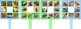 Купить Комплект табличек Бабочки, насекомые, жуки, птицы в Беларуси от 42.00 BYN