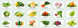 Купить Комплект табличек с названиями овощей 210*148 мм в Беларуси от 90.00 BYN