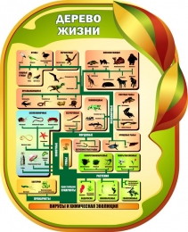 Купить Стенд Дерево жизни для кабинета биологии 650*800мм в Беларуси от 92.00 BYN