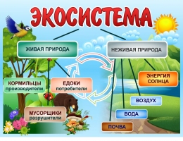 Купить Стенд Экосистема 800*600 мм в Беларуси от 77.00 BYN