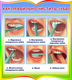 Купить Стенд фигурный Как правильно чистить зубы  для начальной школы и детского сада 270*300 мм в Беларуси от 14.00 BYN