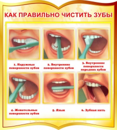 Купить Стенд фигурный Как правильно чистить зубы в золотистых тонах 270*300 мм в Беларуси от 14.00 BYN
