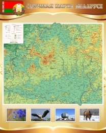 Купить Стенд Фiзiчная карта Беларусi в золотисто-коричневых тонах 600*750 мм в Беларуси от 196.00 BYN