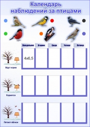 Купить Стенд Календарь наблюдений за птицами 300*420 мм в Беларуси от 28.80 BYN