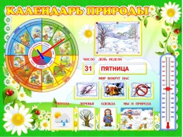 Купить Стенд Календарь природы для группы Ромашка 800*600 в Беларуси от 103.60 BYN