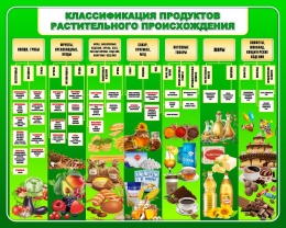 Купить Стенд Классификация продуктов растительного происхождения в зелёных тонах 1000*800 мм в Беларуси от 118.00 BYN