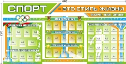 Купить Стенд-композиция Спорт - это стиль жизни для школы большой в голубых, зелёных и оранжевых тонах 4400*2200 мм в Беларуси от 1777.30 BYN