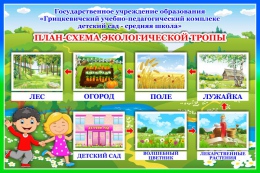 Купить Стенд План-схема экологической тропы 600*400 мм в Беларуси от 39.00 BYN