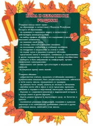Купить Стенд Права и обязанности учащихся 580*790 мм в Беларуси от 76.00 BYN