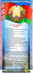 Купить Стенд Права и обязанности учащихся с символикой в синих тонах 250*540 мм в Беларуси от 24.00 BYN
