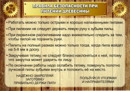 Купить Стенд Правила безопасности при пилении древесины в кабинет трудового обучения 1000*700мм в Беларуси от 113.00 BYN