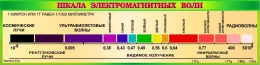 Купить Стенд Шкала электромагнитных волн для кабинета физики в золотисто-зелёных тонах 2000*500 мм в Беларуси от 155.00 BYN