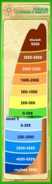 Купить Стенд Шкала глубин и высот в кабинет географии в золотисто-зелёных тонах 400*1400 мм в Беларуси от 90.00 BYN