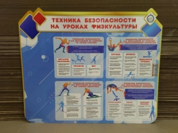 Купить Стенд Техника безопасности на уроках физкультуры 1200*1000 мм СКИДКА в Беларуси от 118.40 BYN