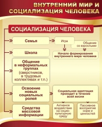 Купить Стенд Внутренний мир и социализация человека в золотисто-бордовых тонах 600*750 мм в Беларуси от 72.00 BYN