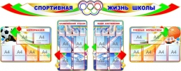 Купить Стендовая композиция Спортивная жизнь школы 3500*1400 мм в Беларуси от 765.00 BYN
