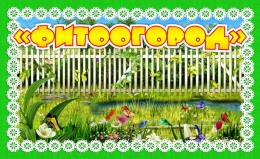 Купить Табличка Фитоогород для экологической тропы 260*160 мм в Беларуси от 7.00 BYN