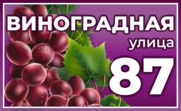 Купить Табличка на дом улица Виноградная 620*380 мм в Беларуси от 38.00 BYN