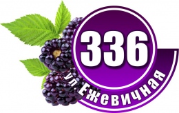 Купить Табличка Номер дома и название улицы в фиолетовых тонах с ежевикой 600х380 в Беларуси от 38.00 BYN