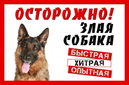 Купить Табличка Осторожно злая собака 300*200 мм в Беларуси от 9.00 BYN