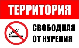 Купить Табличка Территория свободная от курения 460*280 мм в Беларуси от 21.00 BYN
