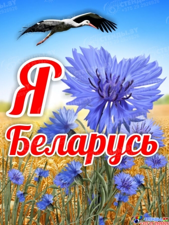 Баннер Я люблю Беларусь