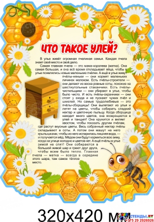 Стенд Что такое улей 320х420 мм