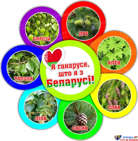 Фигурный стенд Я ганаруся, што я з Беларусi! деревья 490*510 мм