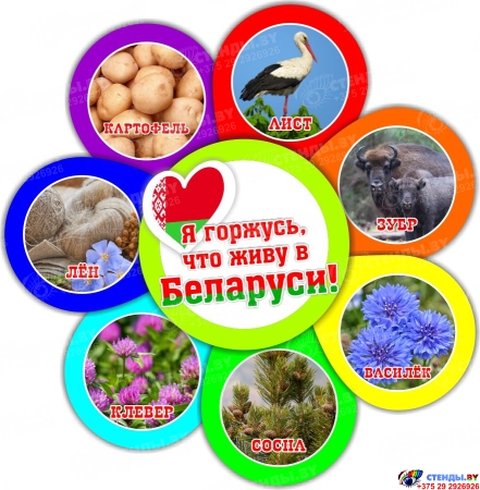 Фигурный яркий стенд Я горжусь, что живу в Беларуси! Природные символы 490*510мм