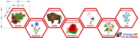 Гексы Символы Республики Беларусь 2300*530мм