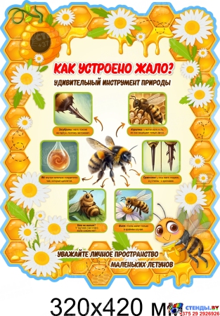 Стенд Как устроено жало? 320х420 мм Стенд Как устроено жало? 320х420 мм