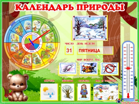 Стенд Календарь Природы, развивающий 800*600 мм Стенд Календарь Природы, развивающий 800*600 мм