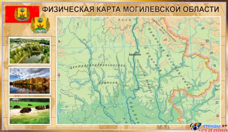 Стенд ФИЗИЧЕСКАЯ КАРТА МОГИЛЕВСКОЙ ОБЛАСТИ в золотистых тонах 1200*700 мм