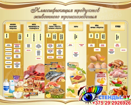 Стенд Классификация продуктов животного происхождения в золотистых тонах 1000*800 мм