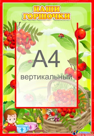 Стенд Наши горшочки для группы Рябинка с карманом А4 335*485 мм