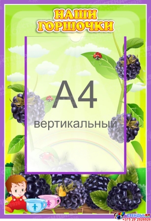 Стенд Наши горшочки для группы Ежевичка с карманом А4 335*485 мм